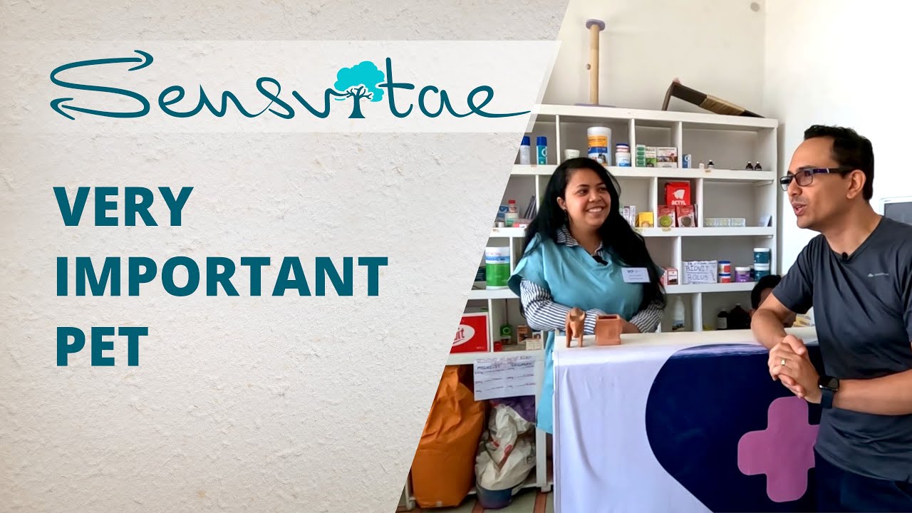 Reportage cabinet vétérinaire VIP à Antananarivo Madagascar