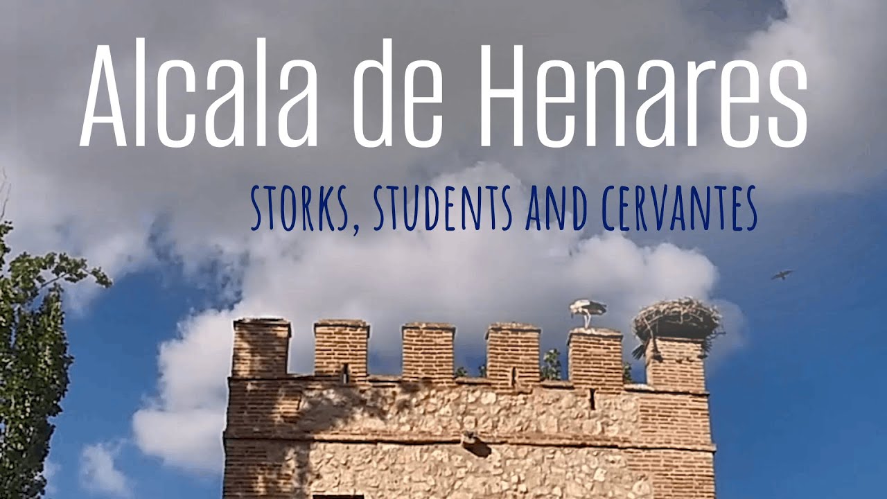 Quaint Alcala de Henares: A cozy town of storks near Madrid, where Columbus got a refusal