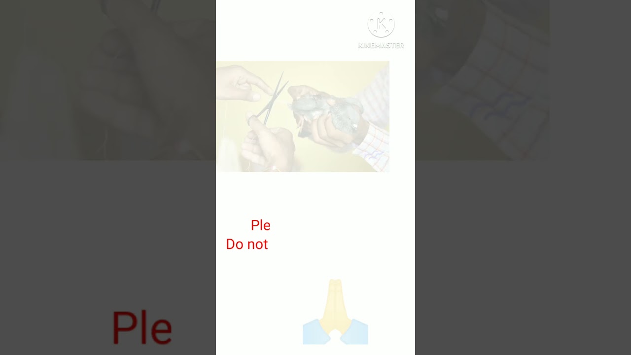 #Do not use Chinese Manja#viral #youtubeshorts #birdslover #savebirds