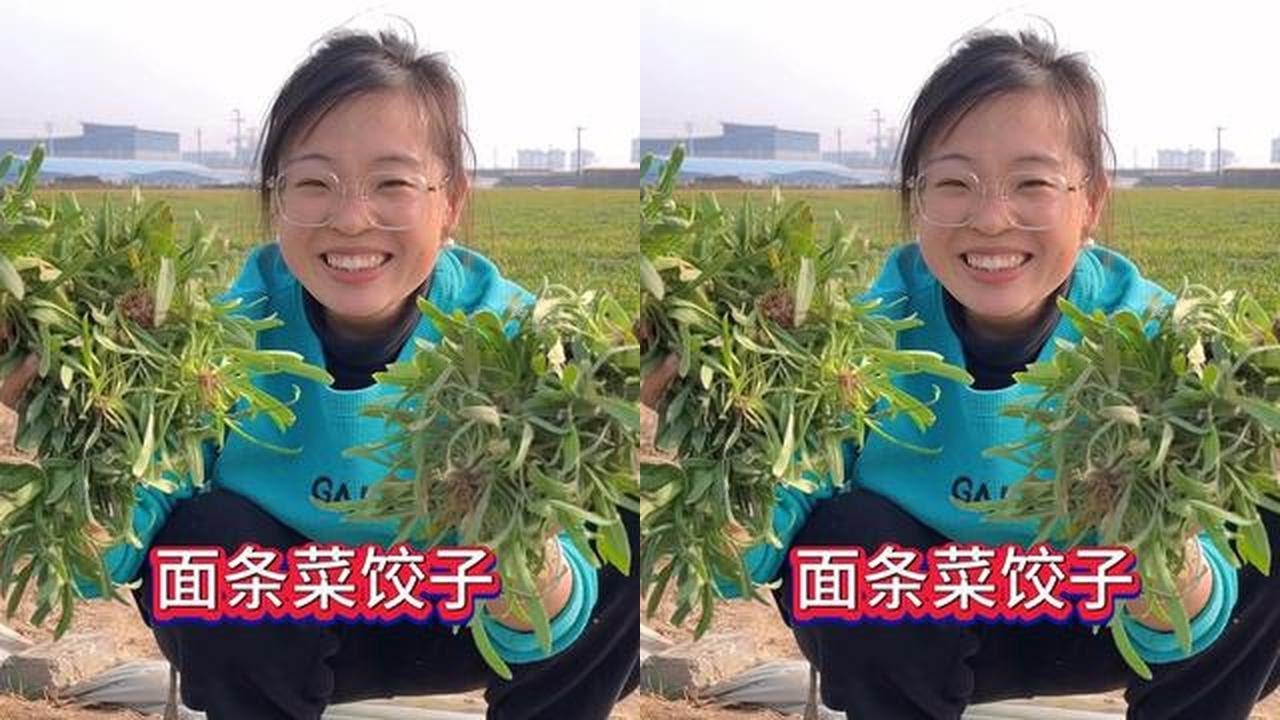河南春天里的“宝藏”野菜，用它包饺子清香又独特，咬一口满嘴都是老家的味道！#农村美食 #乡愁记忆 #家乡特色 #春天的味道 #抖音创作季