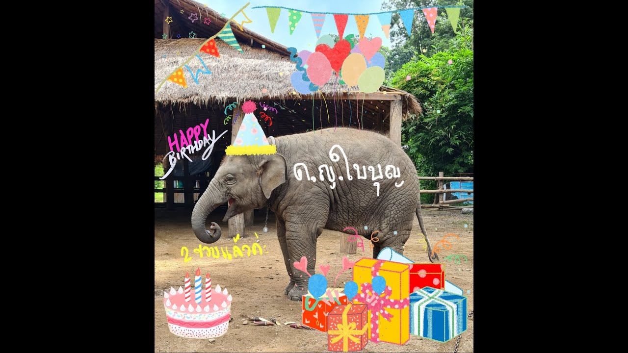 สุขสันต์วันเกิด ด.ญ. #ใบบุญ 2 ขวบ #ช้างน้อย