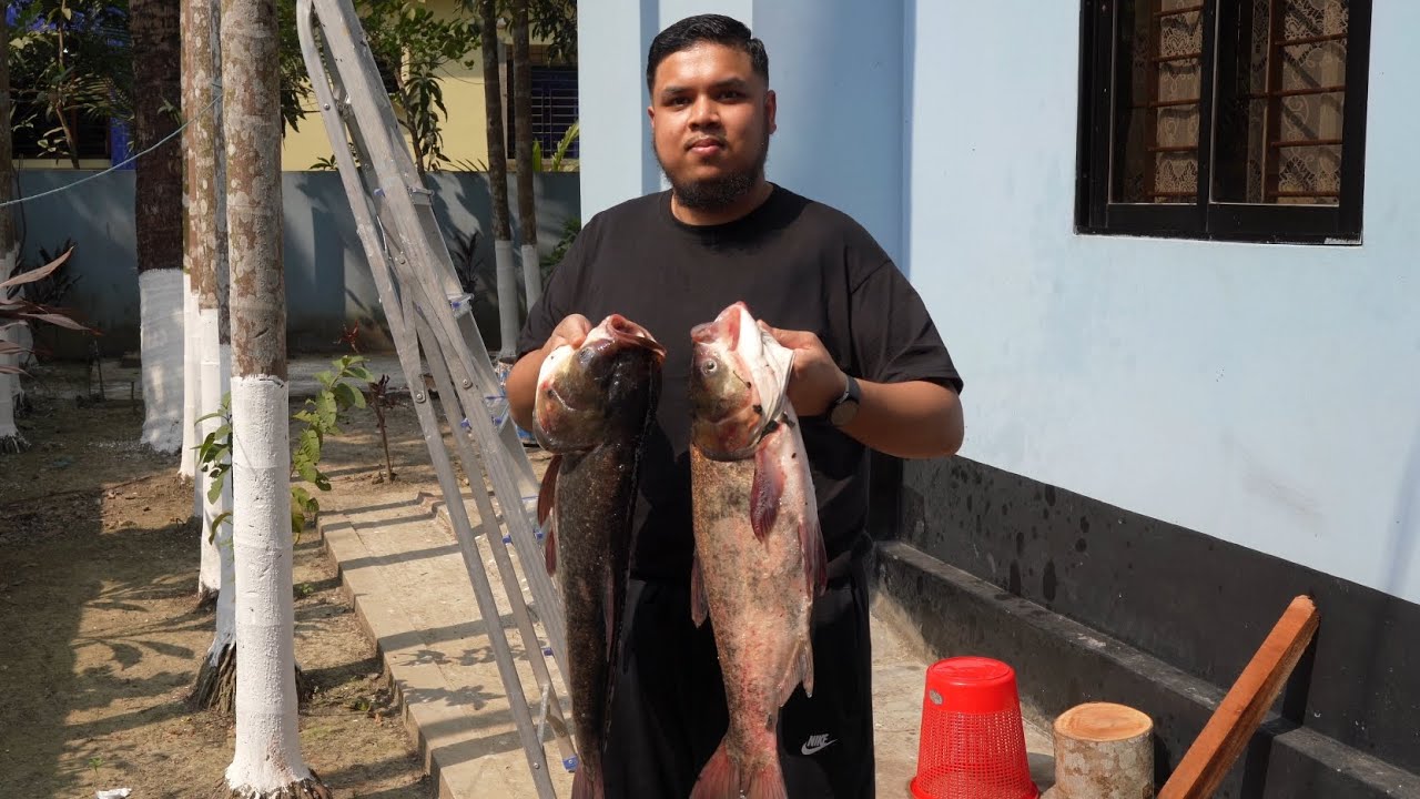 Fishing from our Furki. #sylhet #bangladesh #Kam's-Cam #Beani Bazar- আমাদের পুকুর থেকে মাছ ধরা