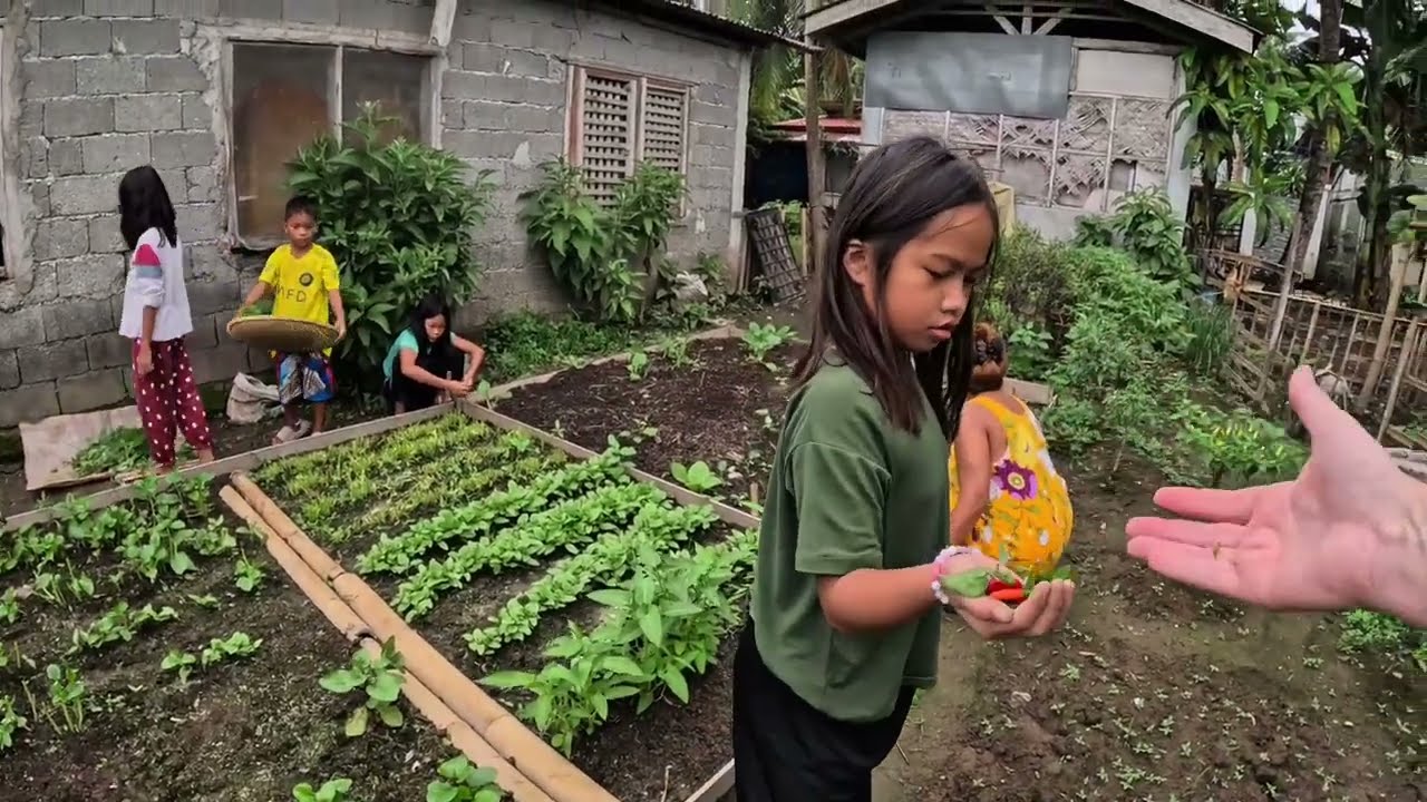 Philippines Leftovers