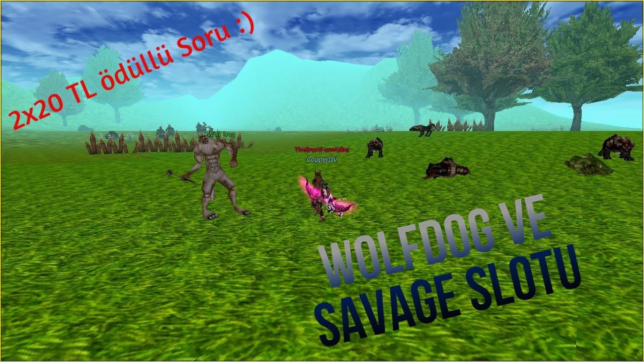 Knight Online Dc Premium ile G&uuml;ncel(2022)Farm Slotları # Wolf doğ ve Savage Slotu