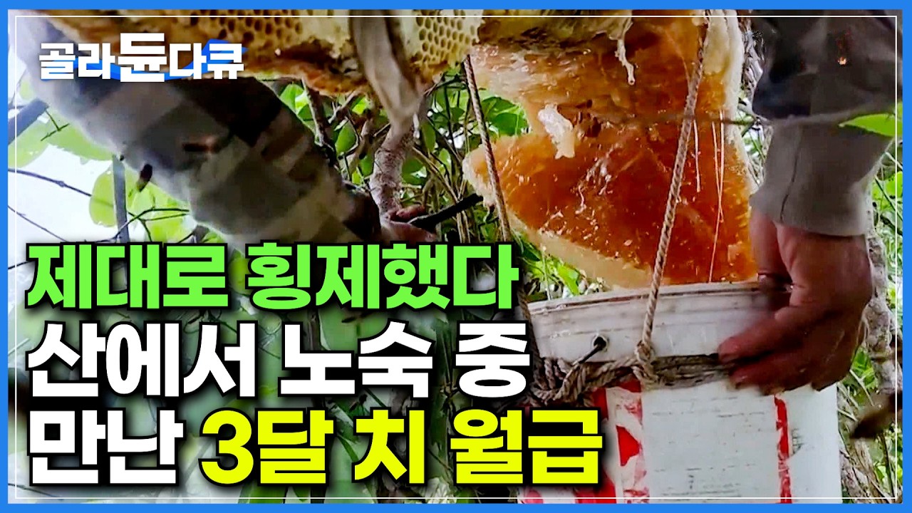30kg에 60만 원. 캄보디아 3달 치 월급의 수익｜1년 중 딱 3개월만 얻을 수 있다는 산속 노숙 중 만난 최상급 야생 목청｜캄보디아 오지 마을의 돈벌이｜극한직업｜#골라듄다큐