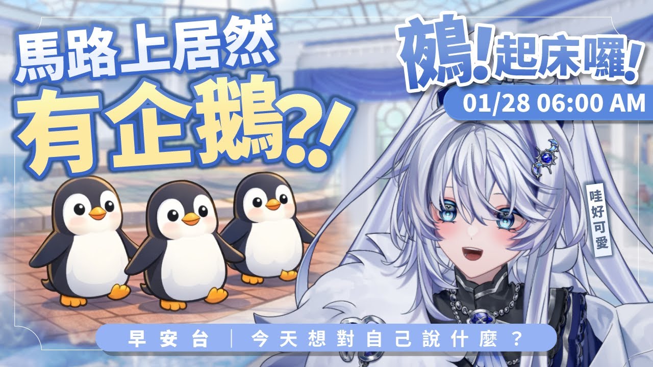 【早安台】鵺！起床囉！｜街頭出現企鵝？【小鵺野紗音／芥川組】