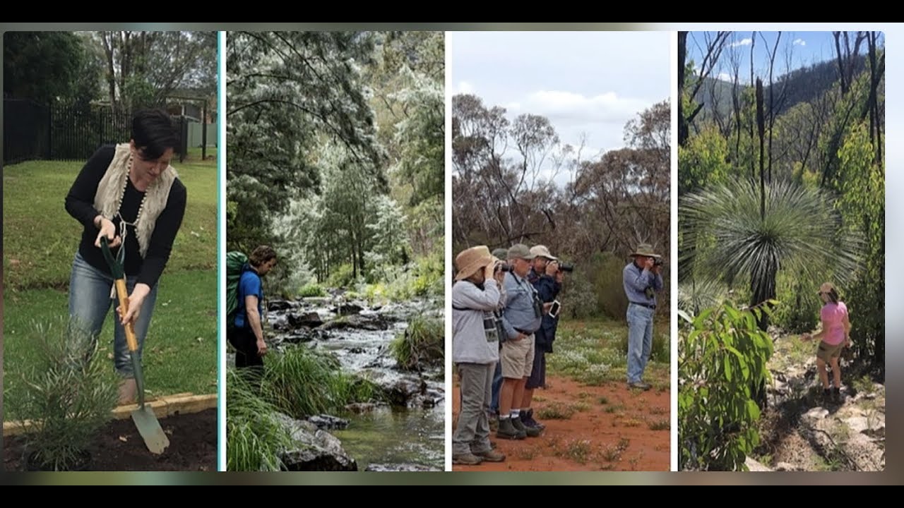 Evaluating nature connection programs for sustainability