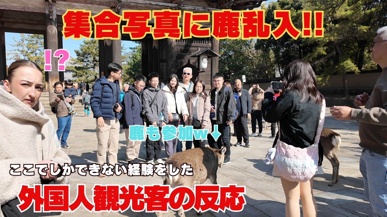 【奈良公園】外国人観光客の集合写真に鹿が乱入ww 日本でここだけの光景