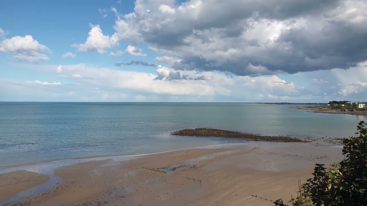 Wild birds Irish Sea and  Irish Coastline  Balbriggan.  Ireland. Roads views ireland.