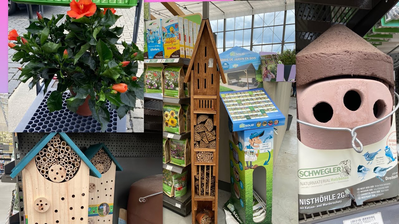 Magasin de plantes en Belgique. Домики для насекомых. Цветочный магазин в Бельгии.