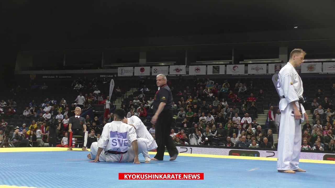 WKO EC 2019, 1/8 -85 Ali Hayder (Sweden, aka) - Juras Sokolovas (Lithuania)