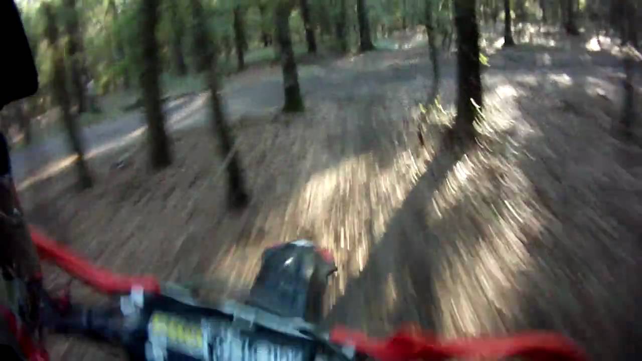 Croom single track with greg melka, almost hit a squirrel.