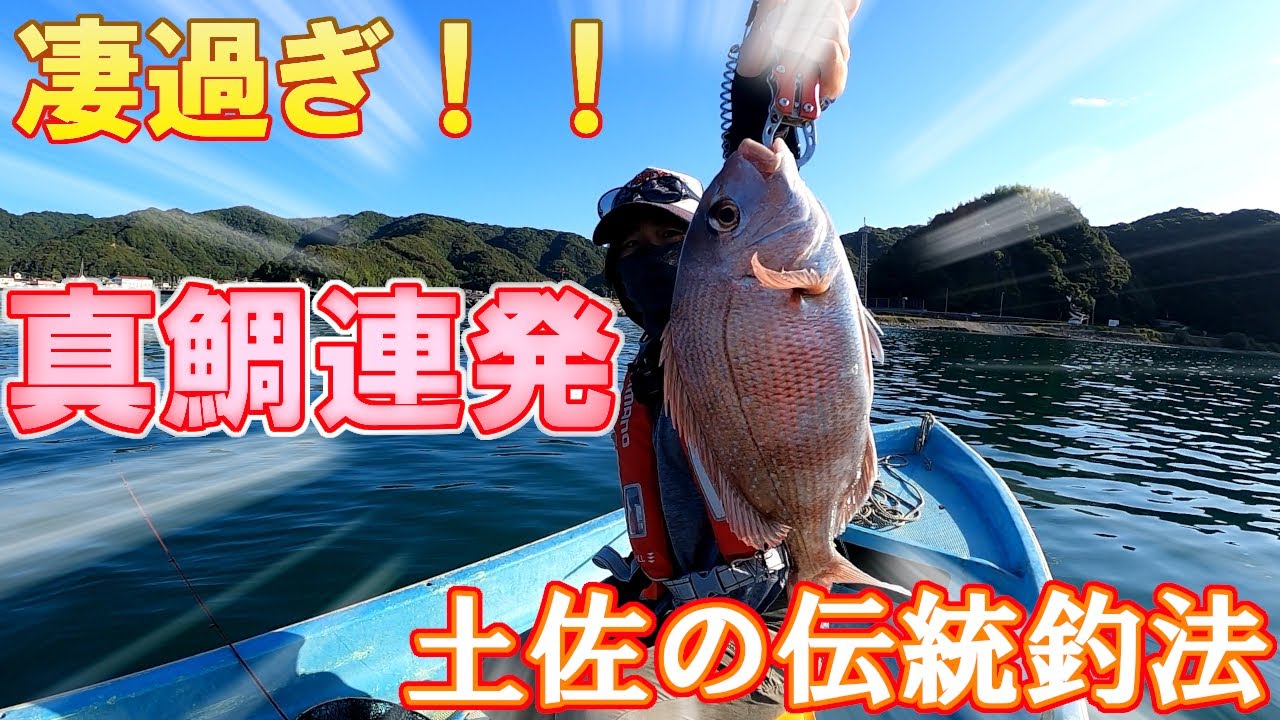 【テンヤ釣り？】土佐の伝統釣法ハイカラ釣りが凄かった！！