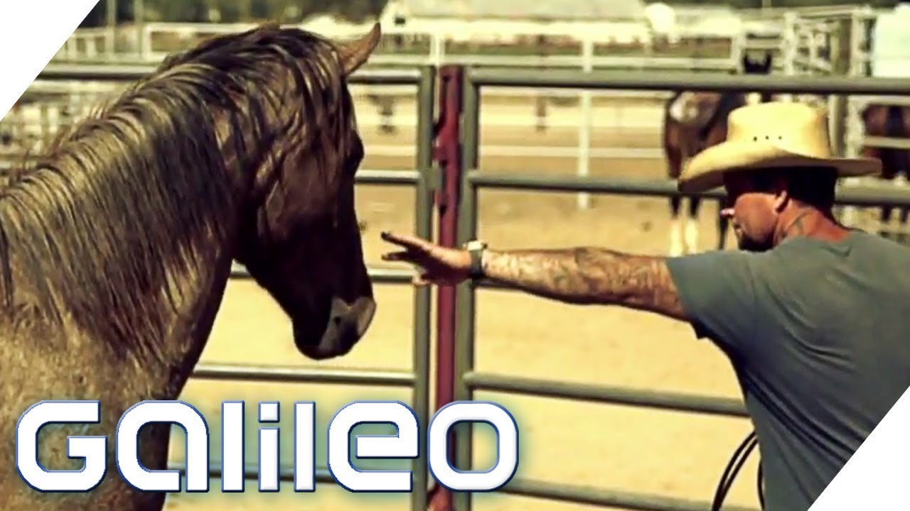 Cowboys hinter Gittern: Amerikas ungewöhnlichstes Gefängnis | Galileo | ProSieben