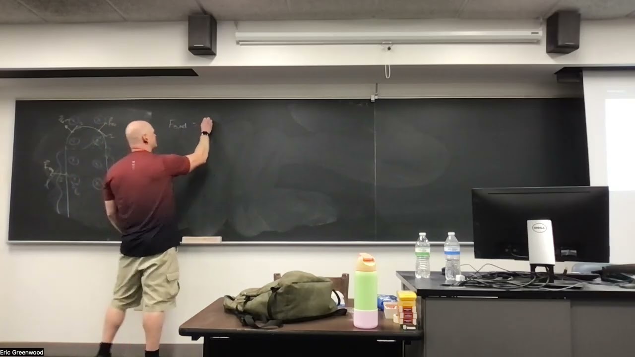 PHYS206: Magnetic force on a charged particle