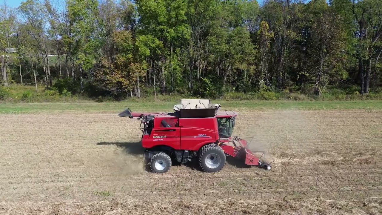 Maquina Case Ih 7250 Cosechando Frijol Negro En Nueva York