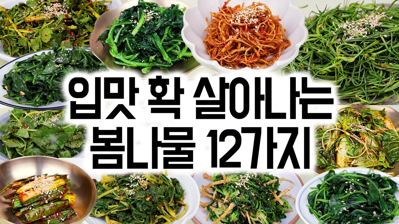 입맛 확 살아나는 봄나물 12가지✅면역력 높이는 제철 봄나물, 지금이 가장 맛있어요!