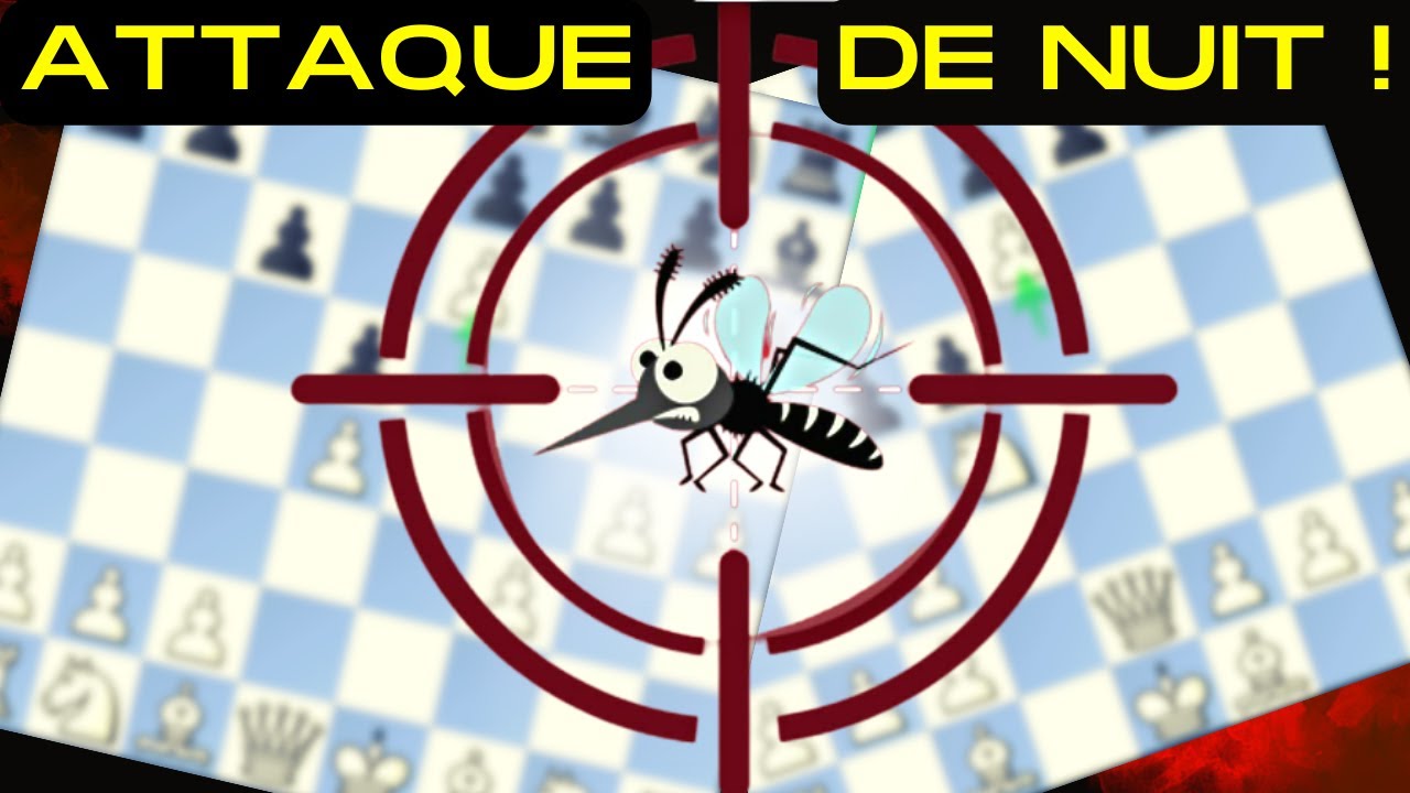 L'attaque de nuit !