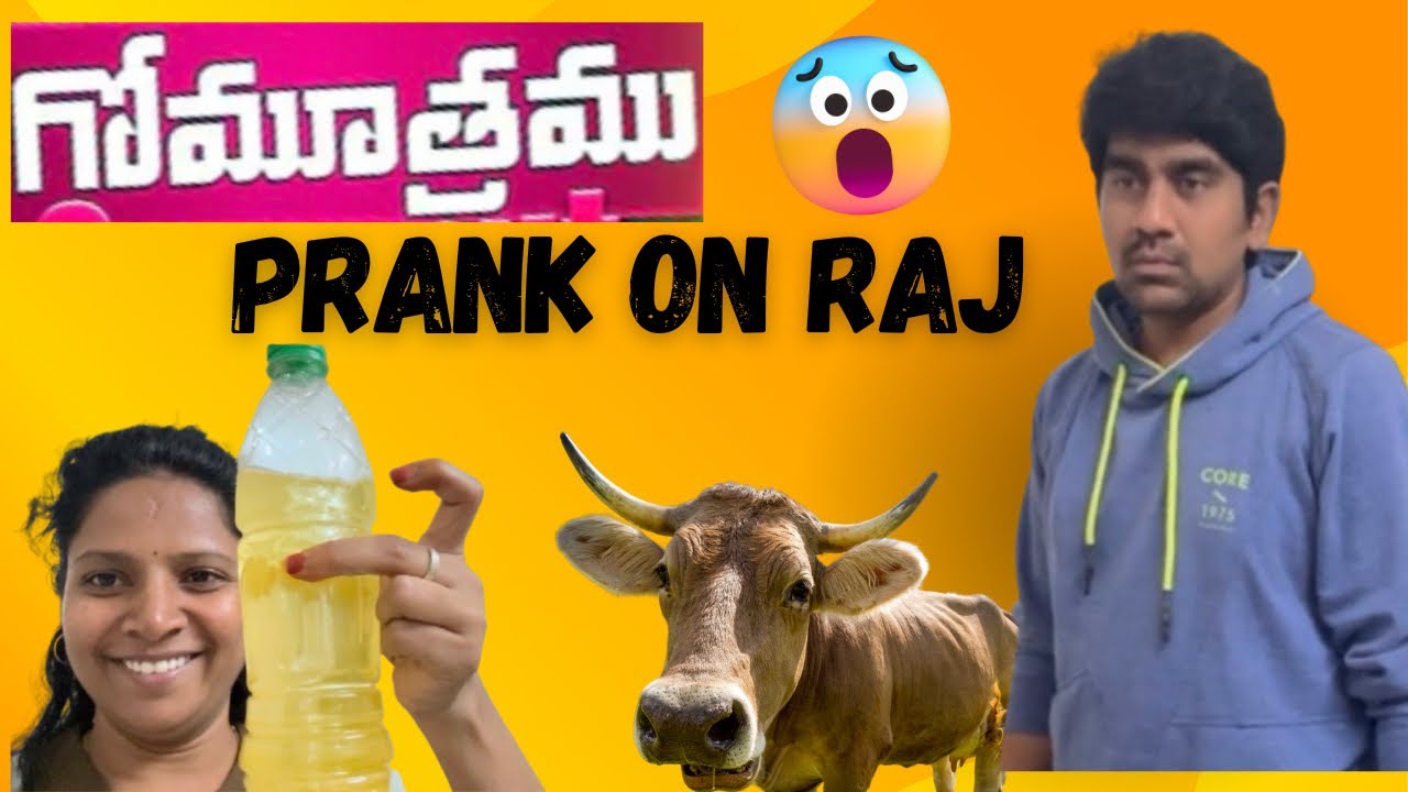Cow URINE 🐄 Prank on RAJ 😨 | Reaction Peaks 🤣