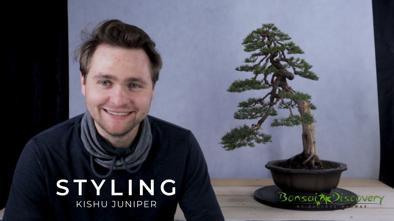 Online Demo for Bonsai Kunst Hamburg