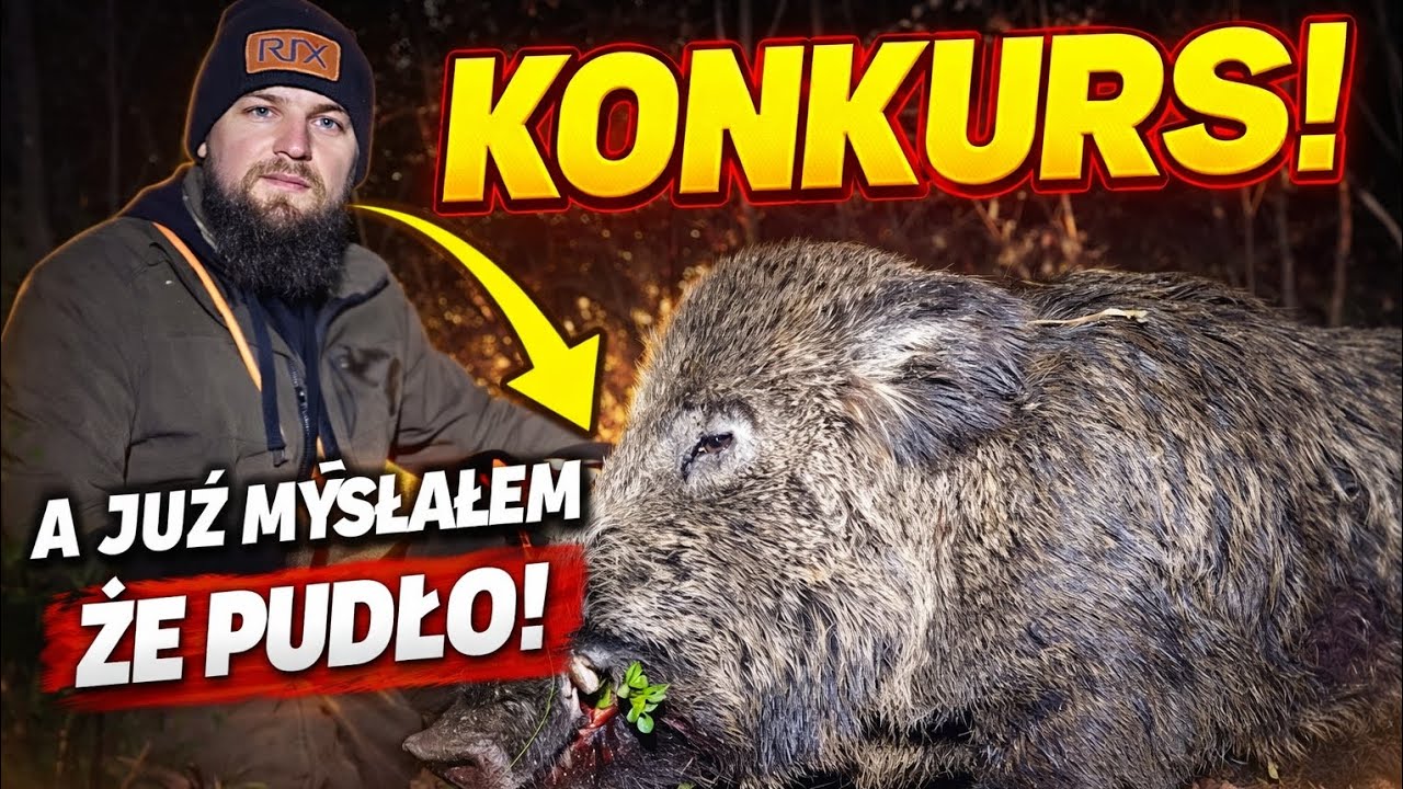 A już myślałem że pudło. Polowanie na dziki, Wild boar hunting. Duży odyniec. 