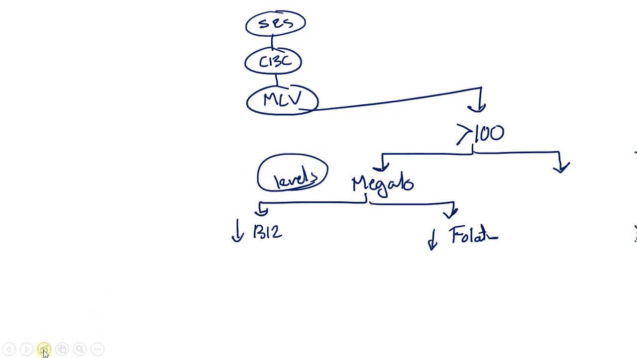 3- Macrocytic Anemias الكبير أوى أوى