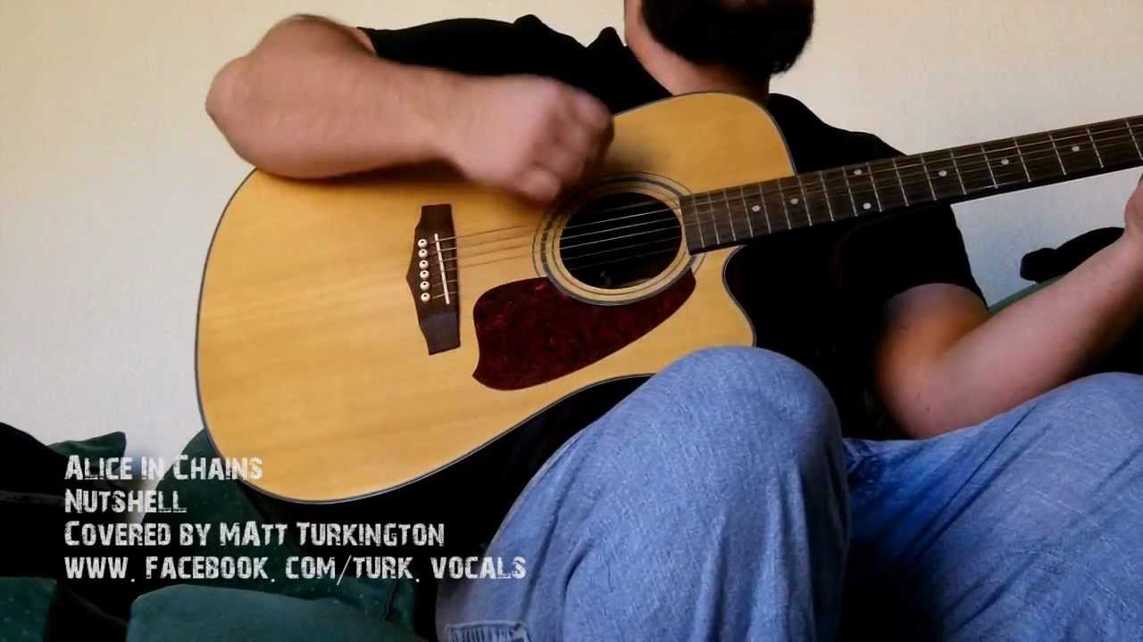 Alice In Chains - Nutshell - cover by Matt Turkington