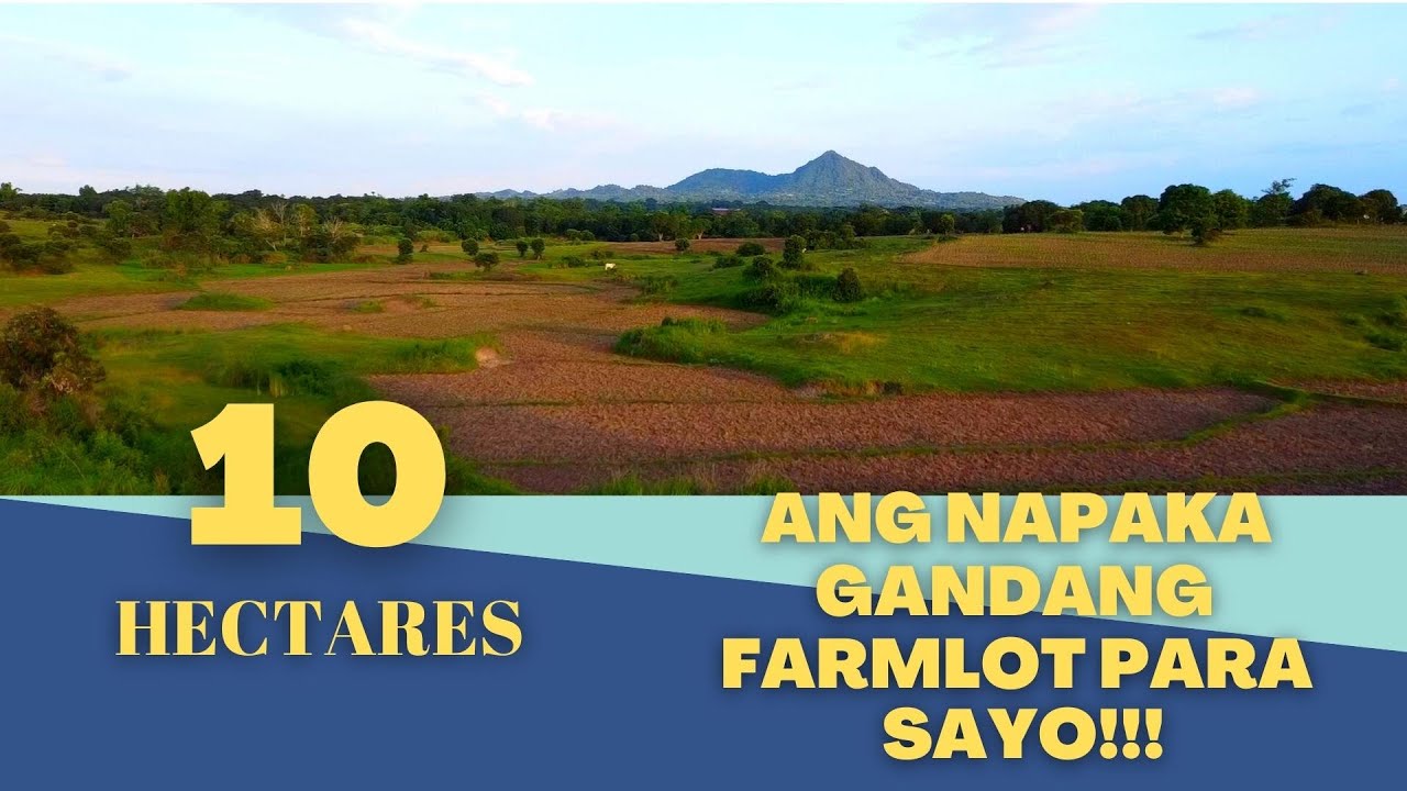 (Vlog#28) Napakagandang 10has na para sayo with Aerial View