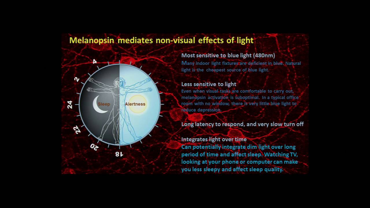 Satchidananda Panda - Watching Your Diet: One Click at a Time