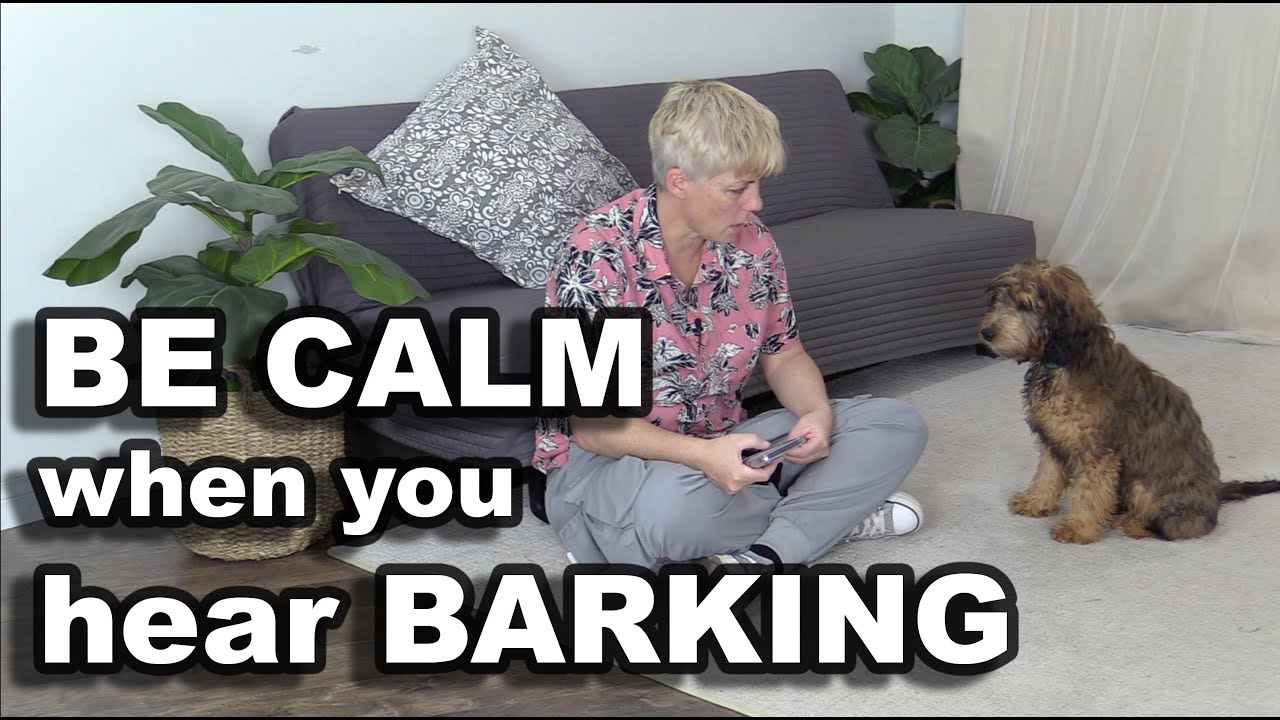 Train your puppy to be CALM and QUIET when they hear BARKING DOGS