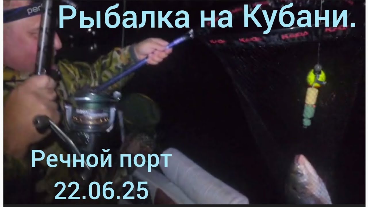 Ловим толстолоба на реке Кубань