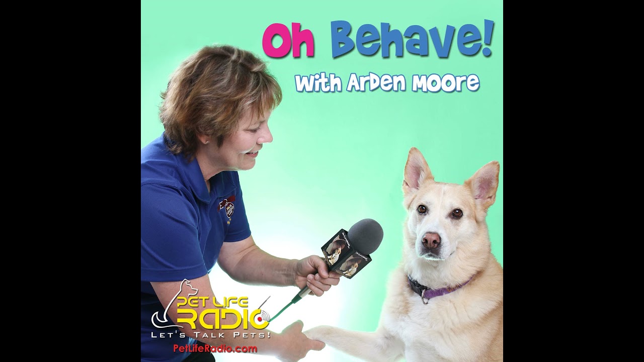 Oh Behave - Episode 183 Award-winning Syndicated Cartoonist Hilary Price Shares Her Take on Dogs,...