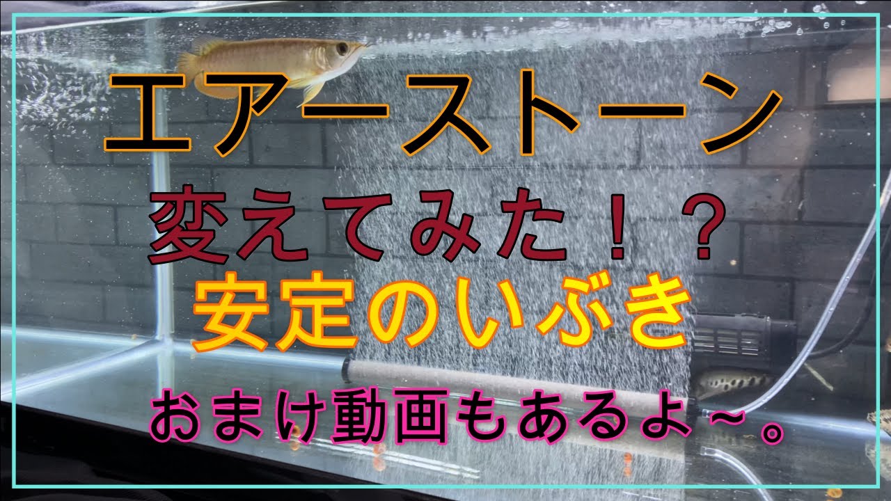 いぶきエアーストーンに交換してみた‼