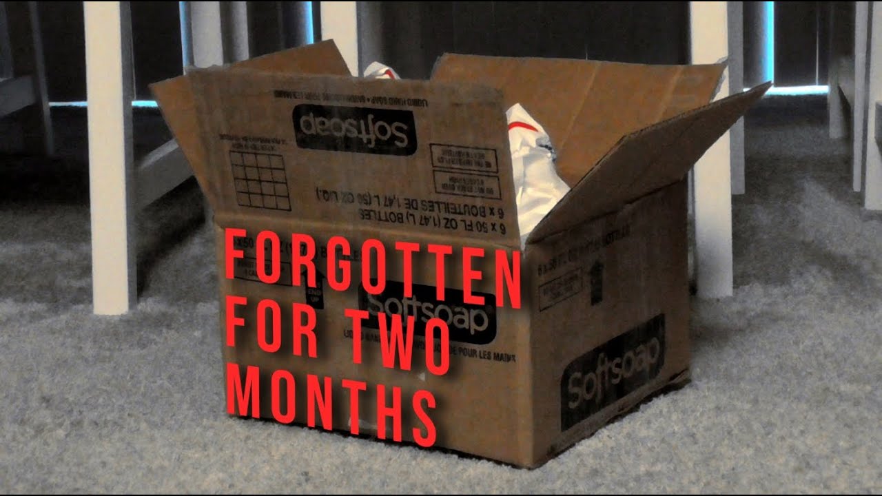 I Forgot About This Package For TWO MONTHS