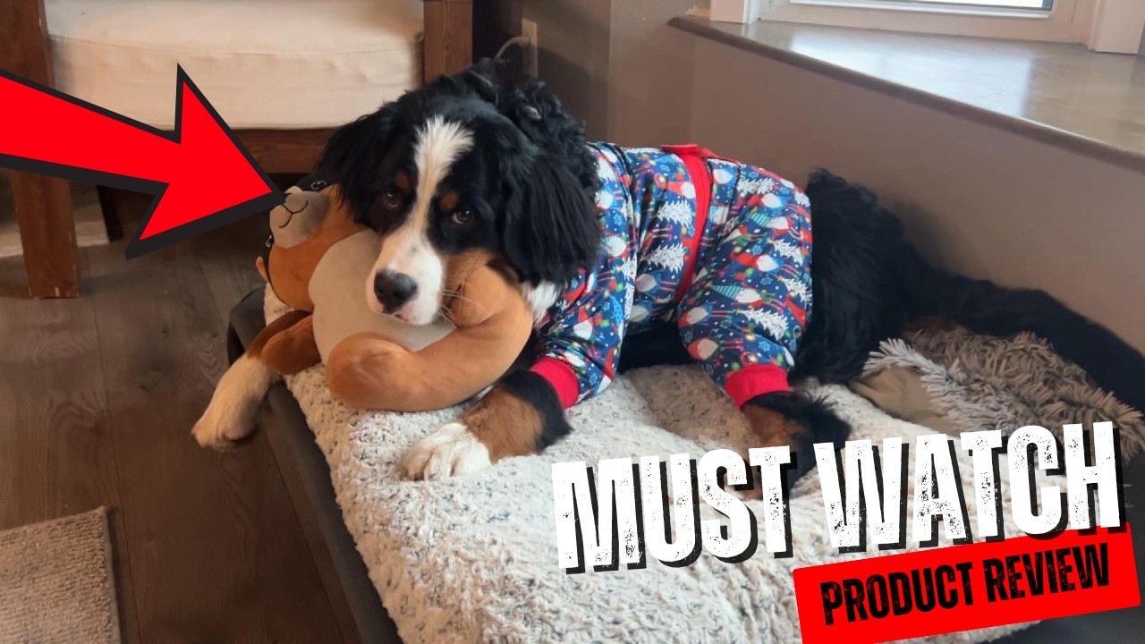 Amazon Product Review | LovinPet Warm Dog Sweater, Flannel Sweater for Large Dogs