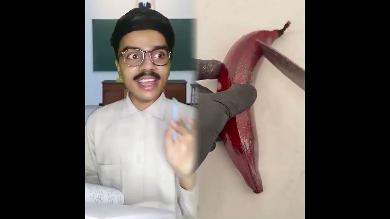 🤣👌👌👌2026 pov Must-Watch Crazy Clips Compilation #humor #fypシ #pov #fyp #foryou 😍😜