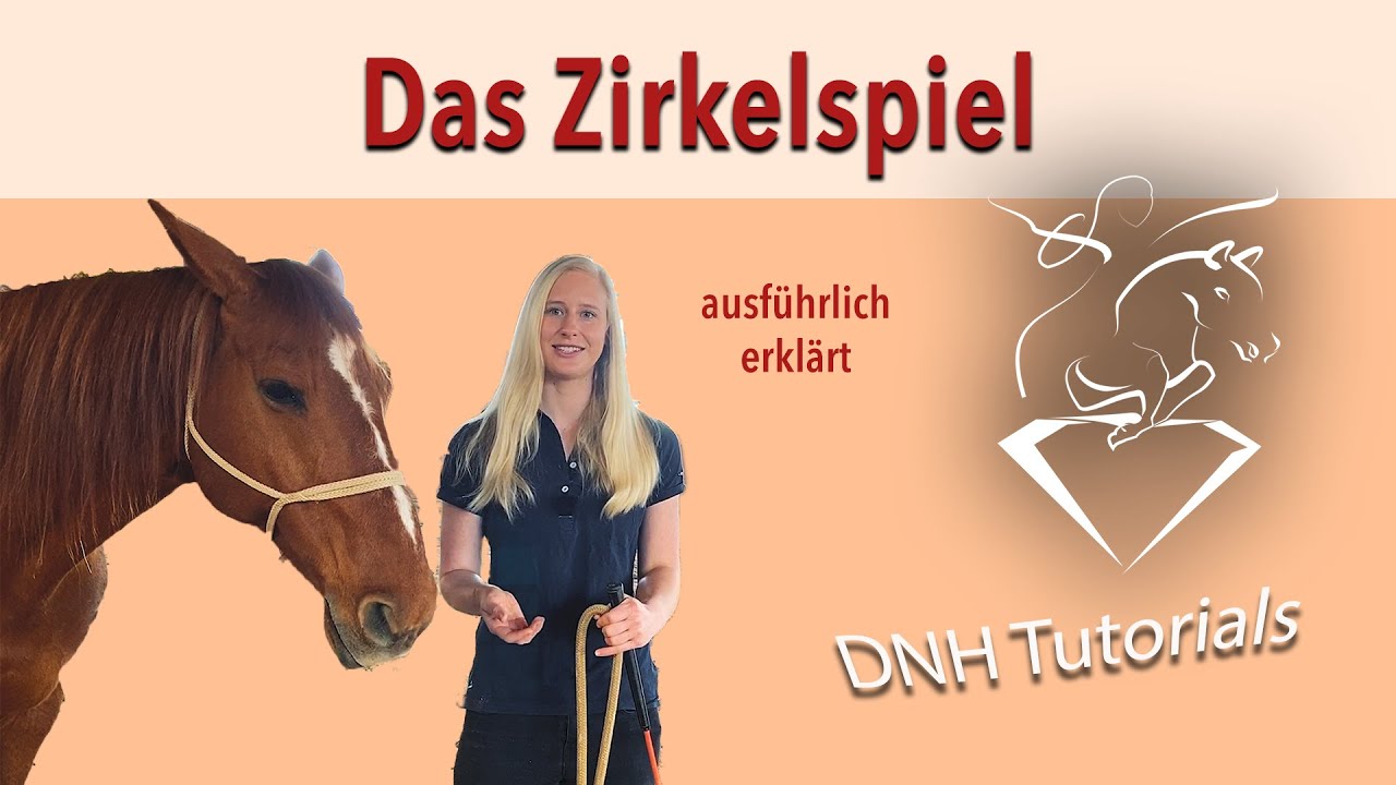Bodenarbeit für Anfänger: Das Zirkelspiel - ausführlich erklärt
