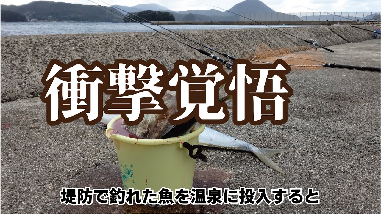 悍ましい怪物が釣れる堤防の魚を生きたまま温泉に投入してみたら！衝撃は覚悟下さいませ