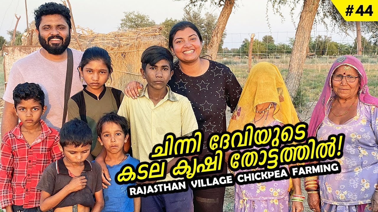 കടല കൃഷിയും ഒളിഞ്ഞു നോട്ടവും! | Rajasthan Village Life Near Jodpur | EP 44