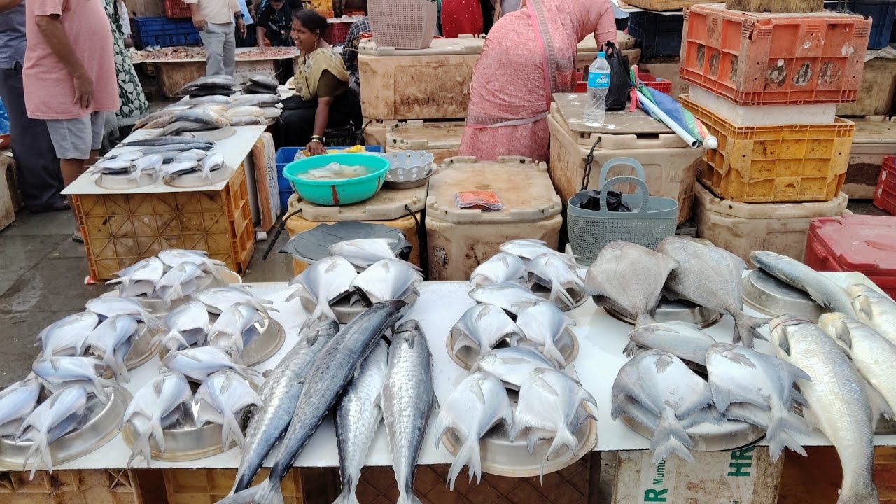 Mumbai Malad Fish Market 🐟 //  Wholesale Fish Market Mumbai#viral #fish #malad #fishing #food 