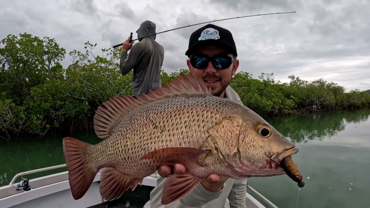 Mangrove Jack Compilation | Chasebaits Australia