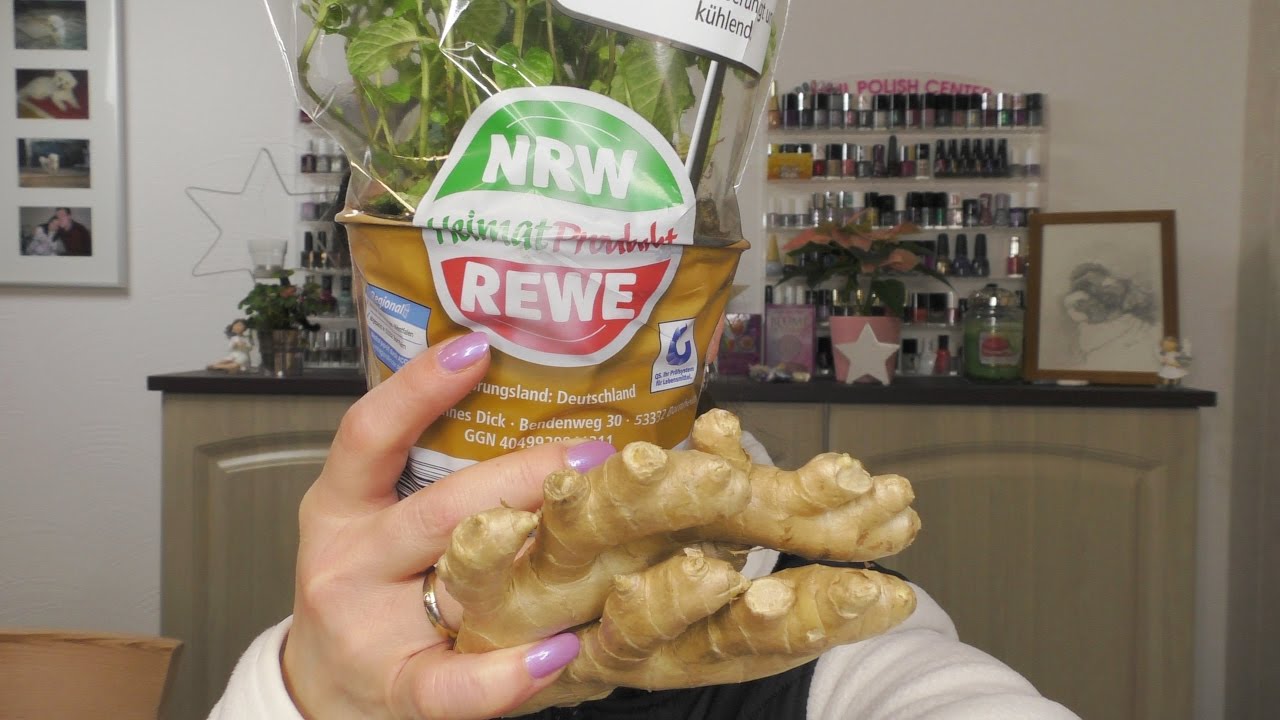♥FOOD - HAUL♥ Lidl / Rewe  ☺Januar 2017 ☺