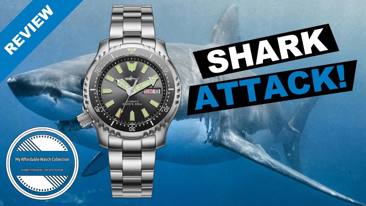 Heimdallr Pro Dive Watch - A $169 
