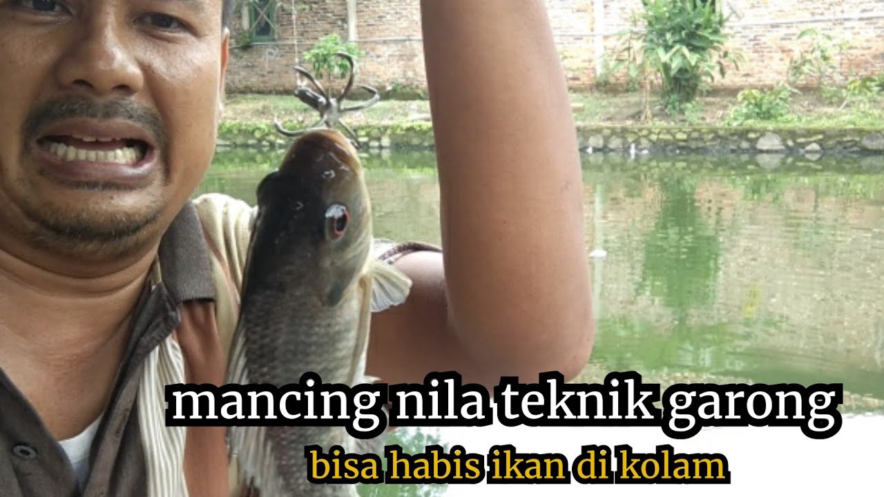 CARA MEMANCING IKAN NILA||TEKNIK GARONG...!!!