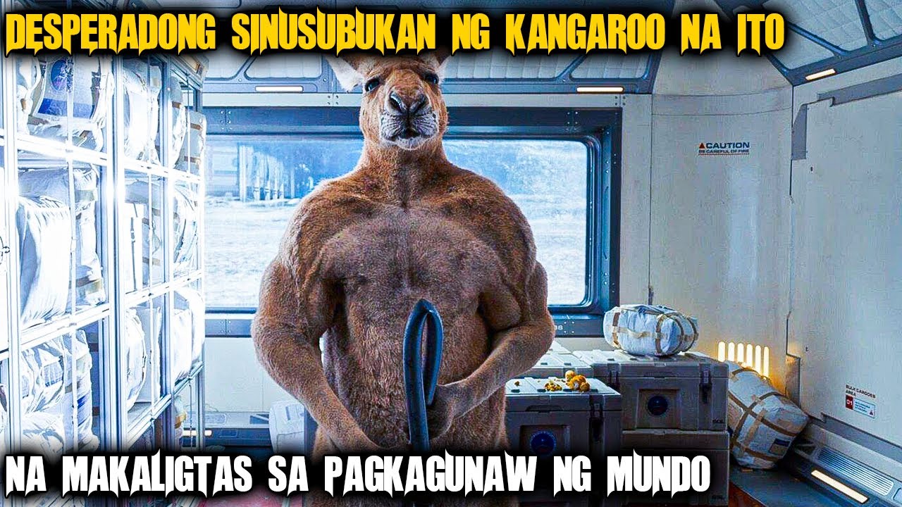 Iniwan Ng Mga Tao Ang Kangaroo Na Ito Sa Buwan
