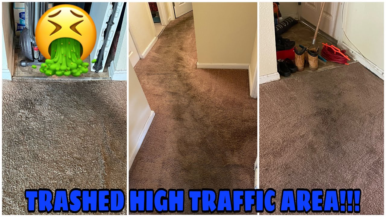 EP.13 HIGH TRAFFIC AREA| how to clean carpets| oreck orbiter | deep cleaning |