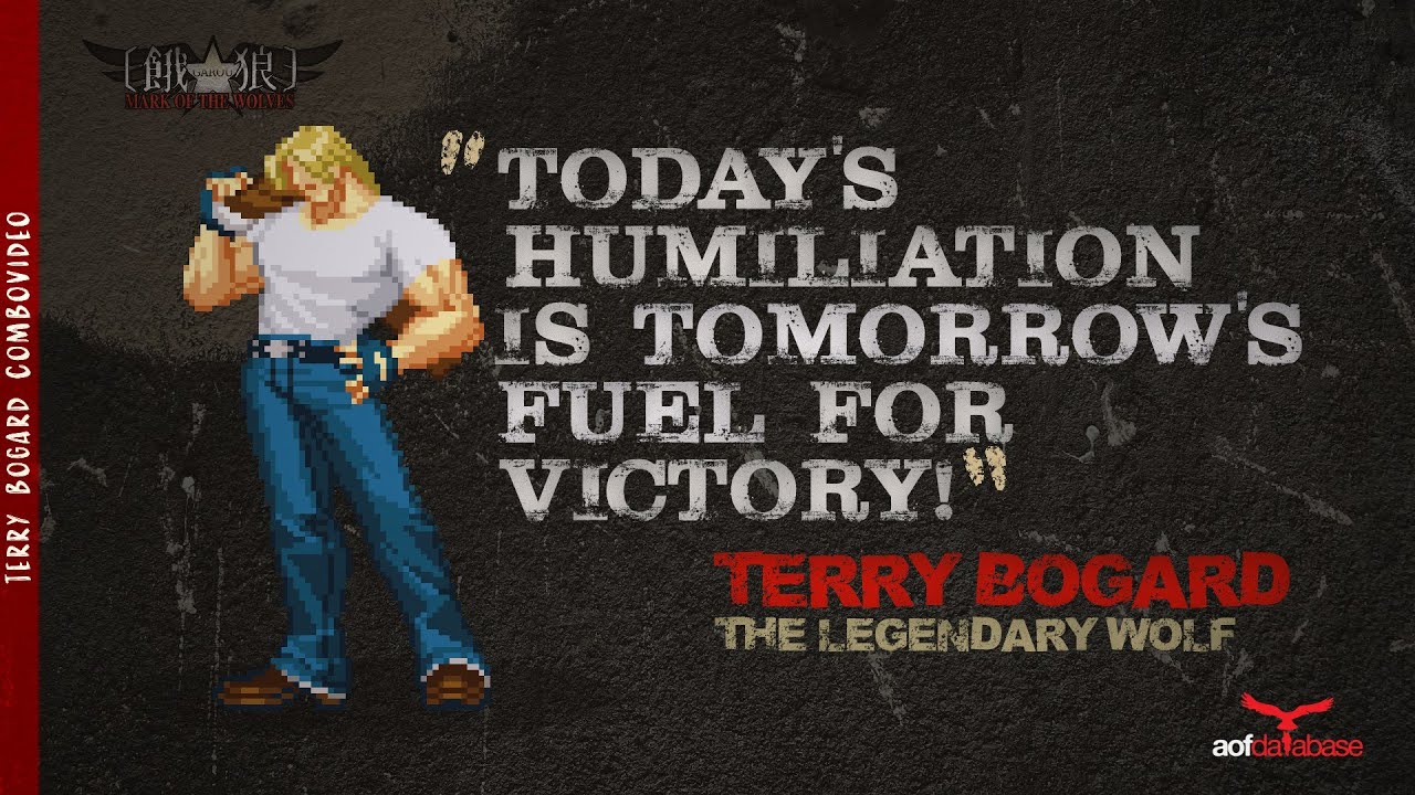 Terry Bogard Combo Video | Garou MOTW
