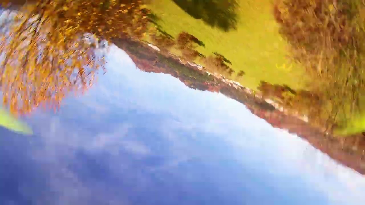 FPV Dolphin dive training