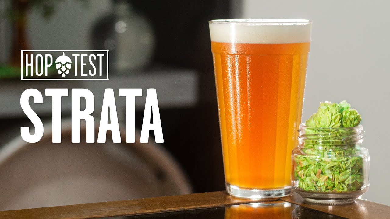 HopTest ep08: Lúpulo Strata