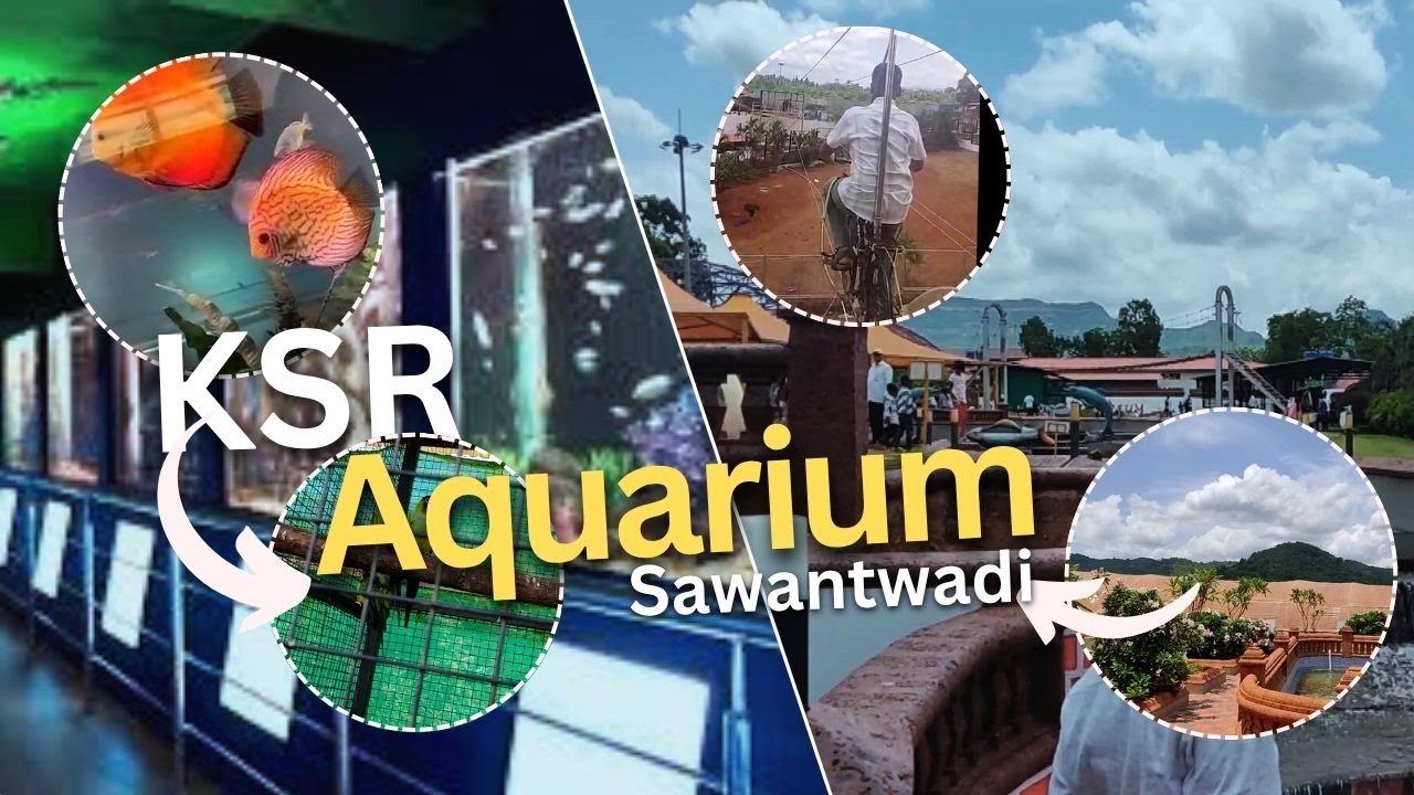 KSR Aquarium Sawantwadi Visit 🐠✨ | Colorful Fish & Fun Family Vlog | VLOG #37